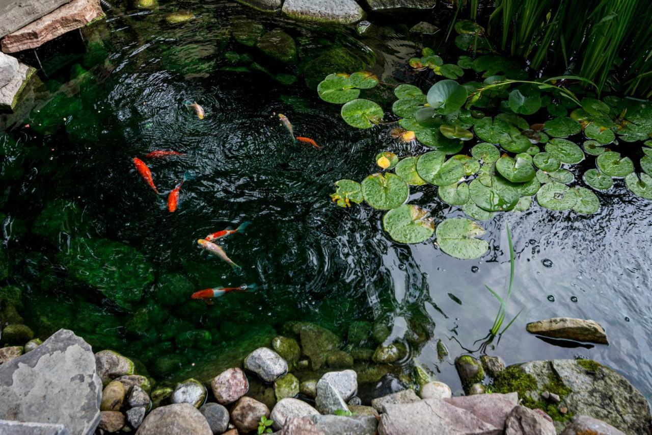 كينفستون The Secret Garden Inn المظهر الخارجي الصورة